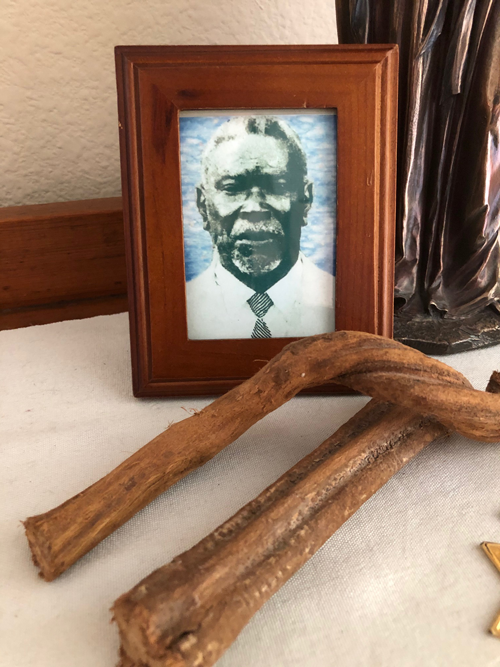 A wood framed portrait of Maeste Irineu, on a table. In front of the framed portrait are two pieces of dried Banisteriopsis caapi vine